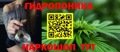 шишки Комсомольск-на-Амуре