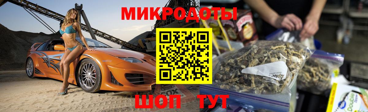 Псилоцибиновые грибы Psilocybine cubensis Дмитров