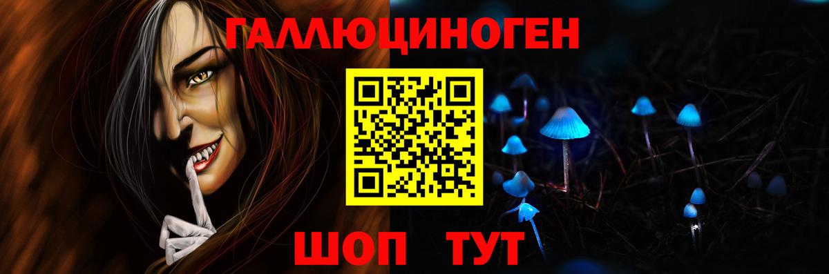 Псилоцибиновые грибы Psilocybe  Вход с VPN  Дмитров 